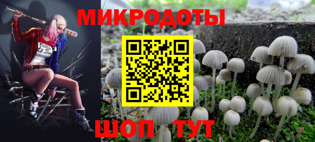 Псилоцибиновые грибы мухоморы Новокубанск